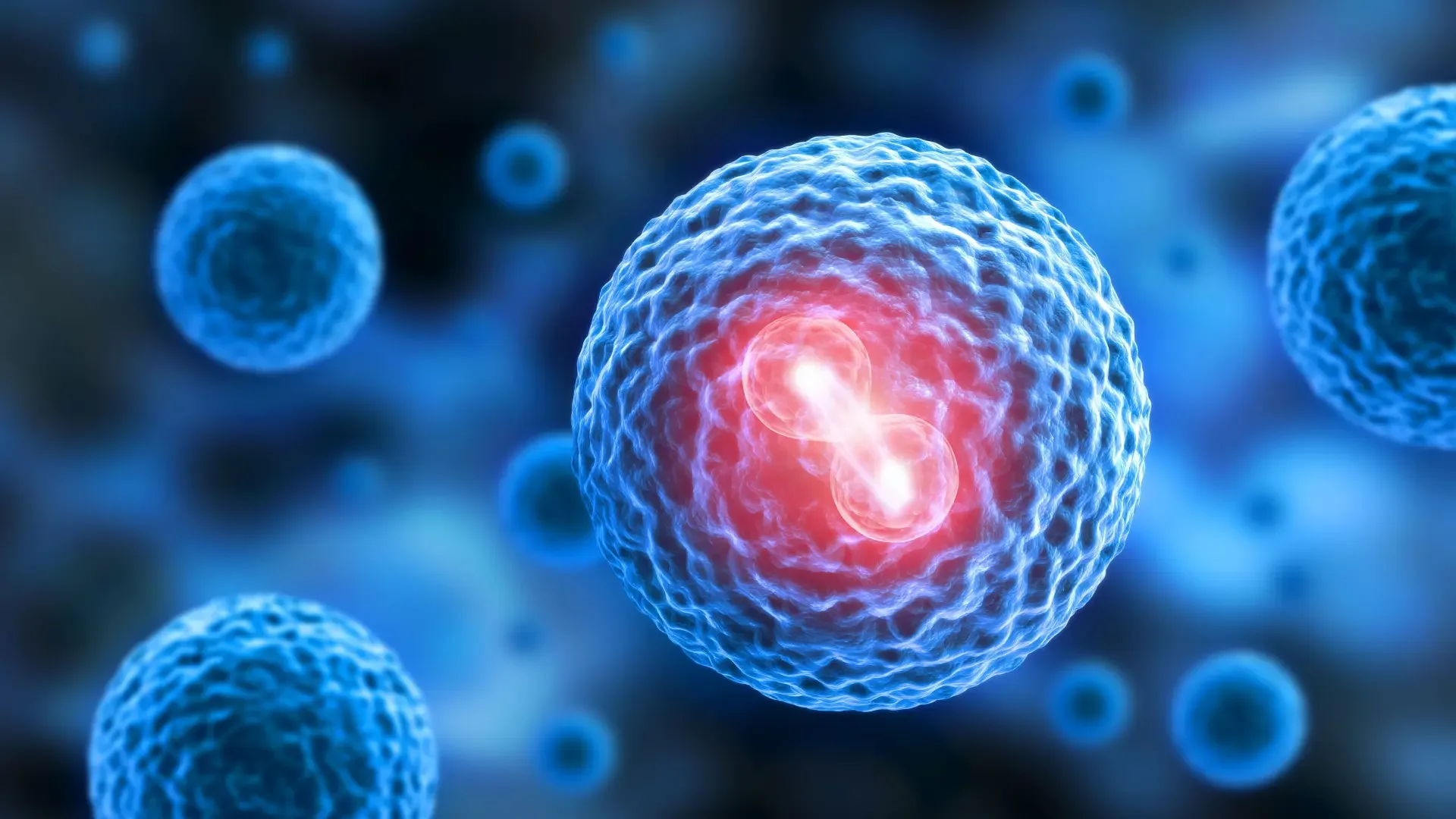 Efectos en la reproducción en el eloctromagnetismo