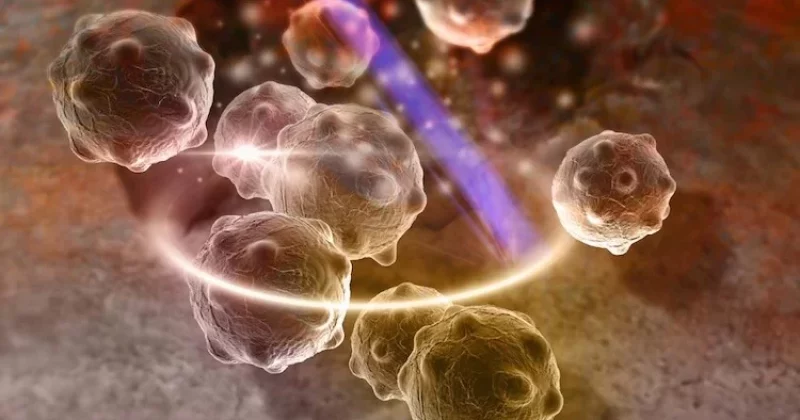 Efectos en el sistema endocrino Efectos en el sistema endocrino